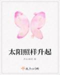 太阳照常升起什么意思