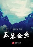 玉宸金章txt精校版