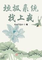 垃圾系统文