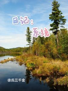 日记系统杂役记录陈泽