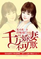 亿万总裁宠妻上瘾