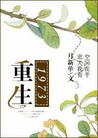 重生1973年陆游讫动画