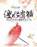 关于傻妃的